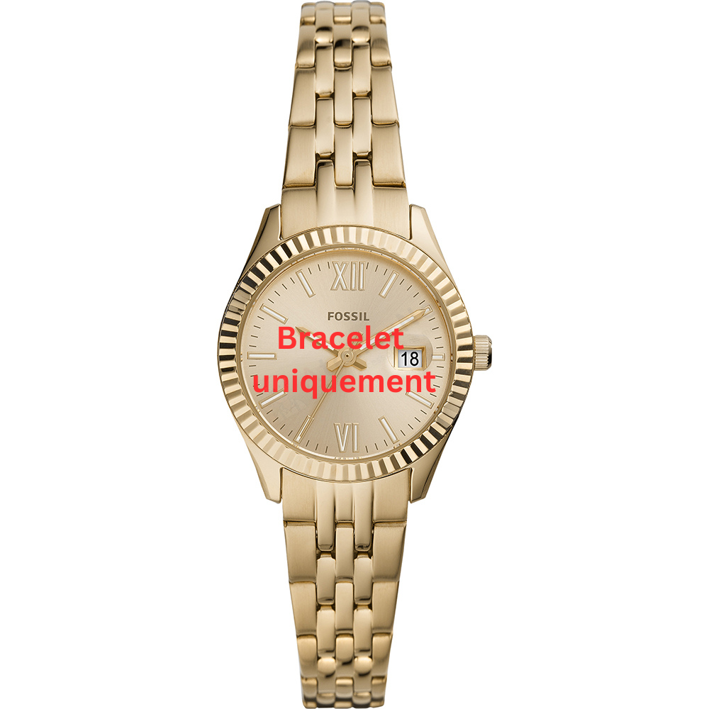 Bracelet metal gold Fossil - MICRO SCARLETTE / ES4993 - ES5037-Bracelets de montres-AtelierNet