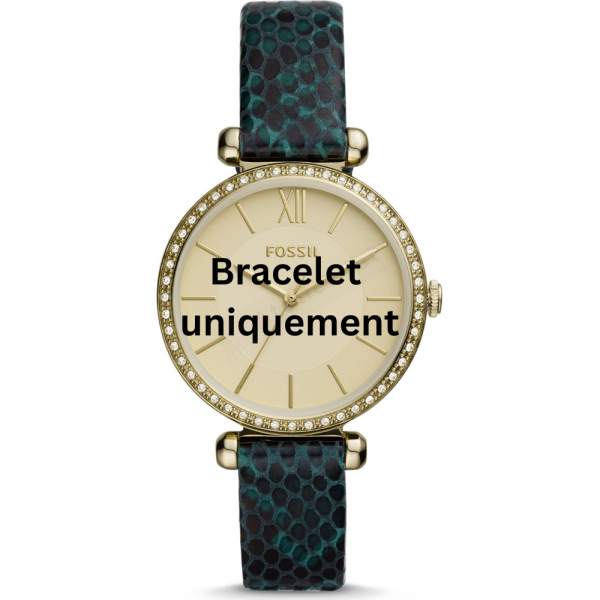 Bracelet cuir vert Fossil - TILLIE / BQ3552-Bracelet de montre-AtelierNet