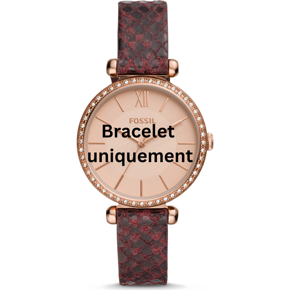 Bracelet leather brown Fossil - TILLIE / BQ3551-Bracelets de montres-AtelierNet