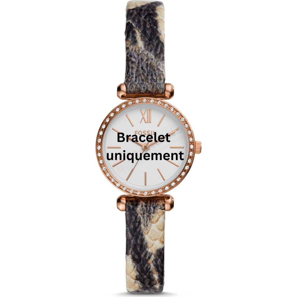 Bracelet cuir gris Fossil - TILLIE MINI / BQ3533-Bracelet de montre-AtelierNet