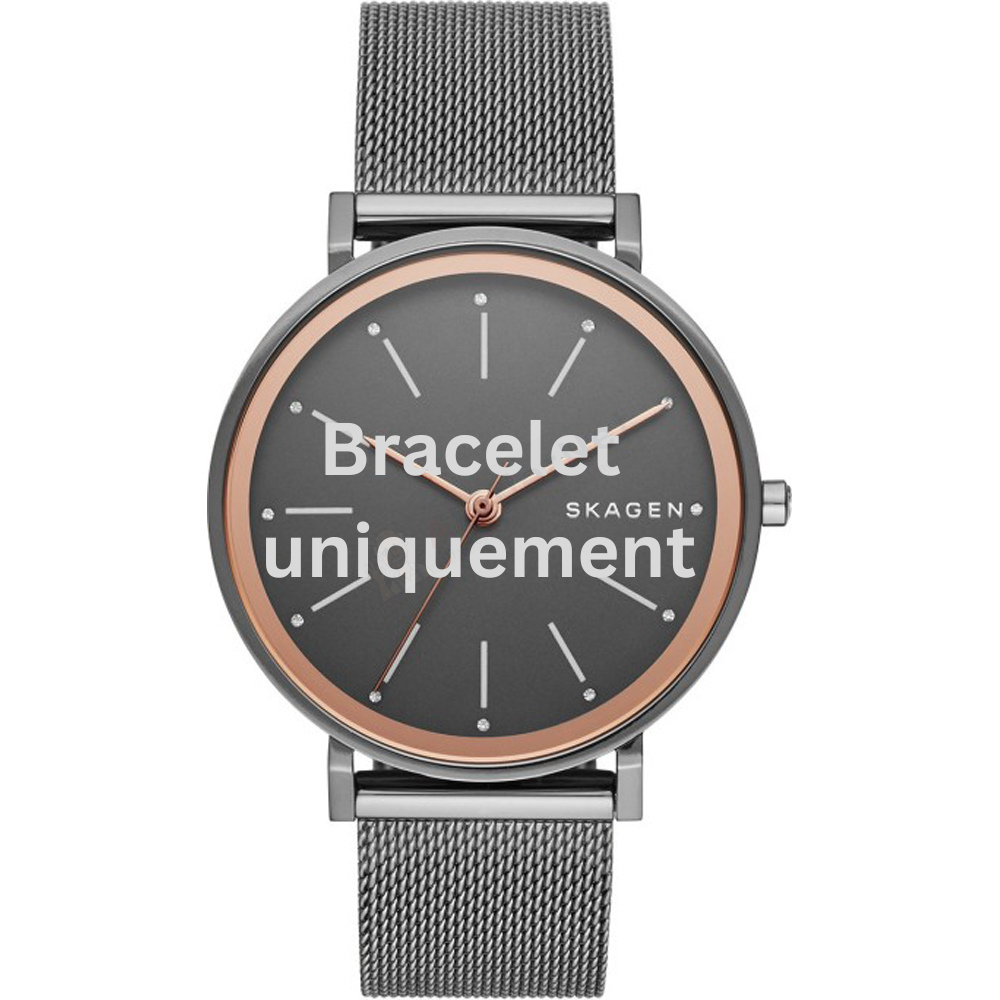 Bracelet metal grey Skagen - HALD MEDIUM / SKW2507-Bracelets de montres-AtelierNet