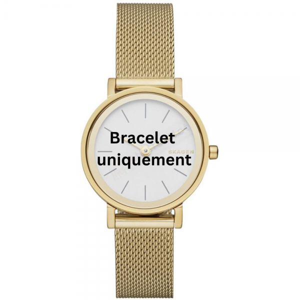 Bracelet metal gold Skagen - HALD SMALL / SKW2443-Bracelets de montres-AtelierNet