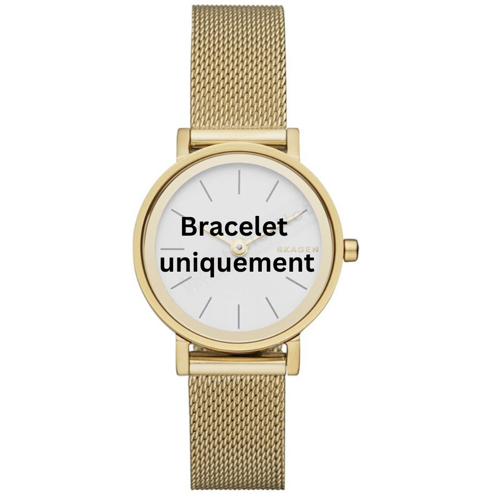 Bracelet metal gold Skagen - HALD SMALL / SKW2443-Bracelets de montres-AtelierNet