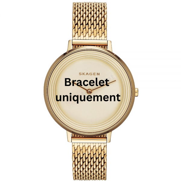 Bracelet metal gold Skagen - DITTE LARGE / SKW2333-Bracelets de montres-AtelierNet