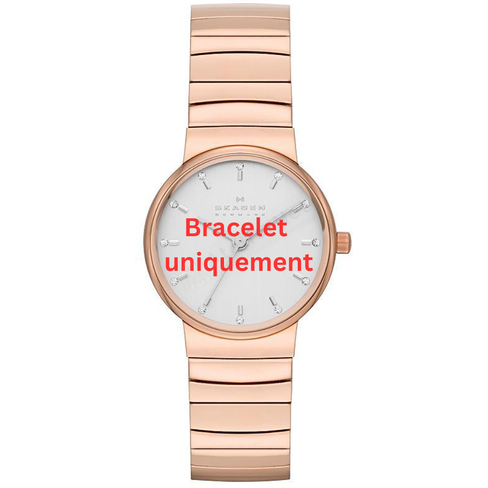 Bracelet métal or rose Skagen - ANCHER SMALL / SKW2200-Bracelet de montre-AtelierNet