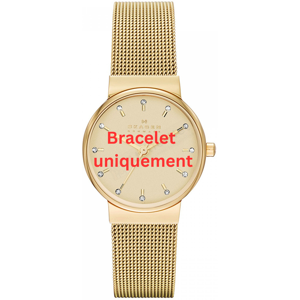 Bracelet metal gold Skagen - ANCHER SMALL / SKW2196-Bracelets de montres-AtelierNet