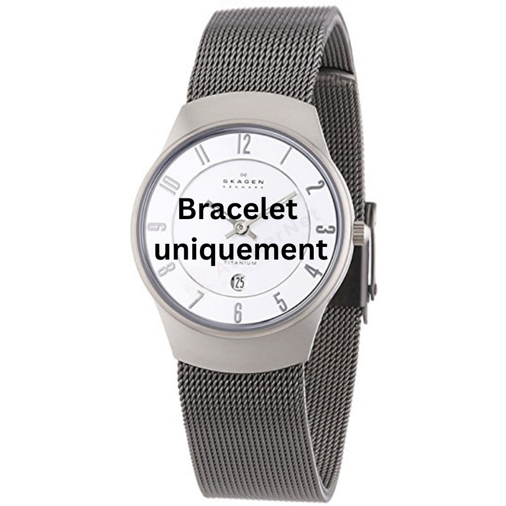 Bracelet metal grey Skagen - 533 SMALL / 533STTW-Bracelets de montres-AtelierNet