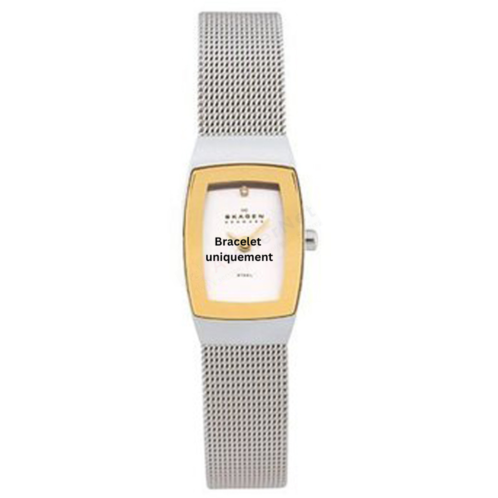 Bracelet métal argent Skagen - 271 SMALL / 271SGSC - 271SSS - 271SSSMPD - 271SSSBD-Bracelet de montre-AtelierNet