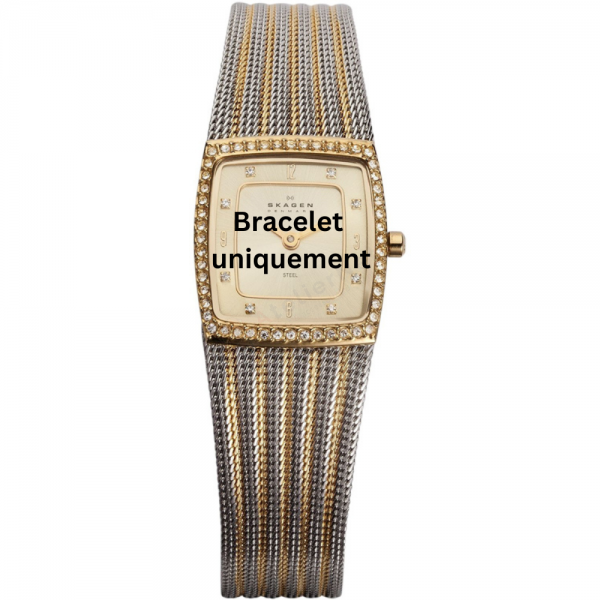 Bracelet metal two-tone Skagen - 384 EXTRA SMALL / 384XSGSG-Bracelets de montres-AtelierNet