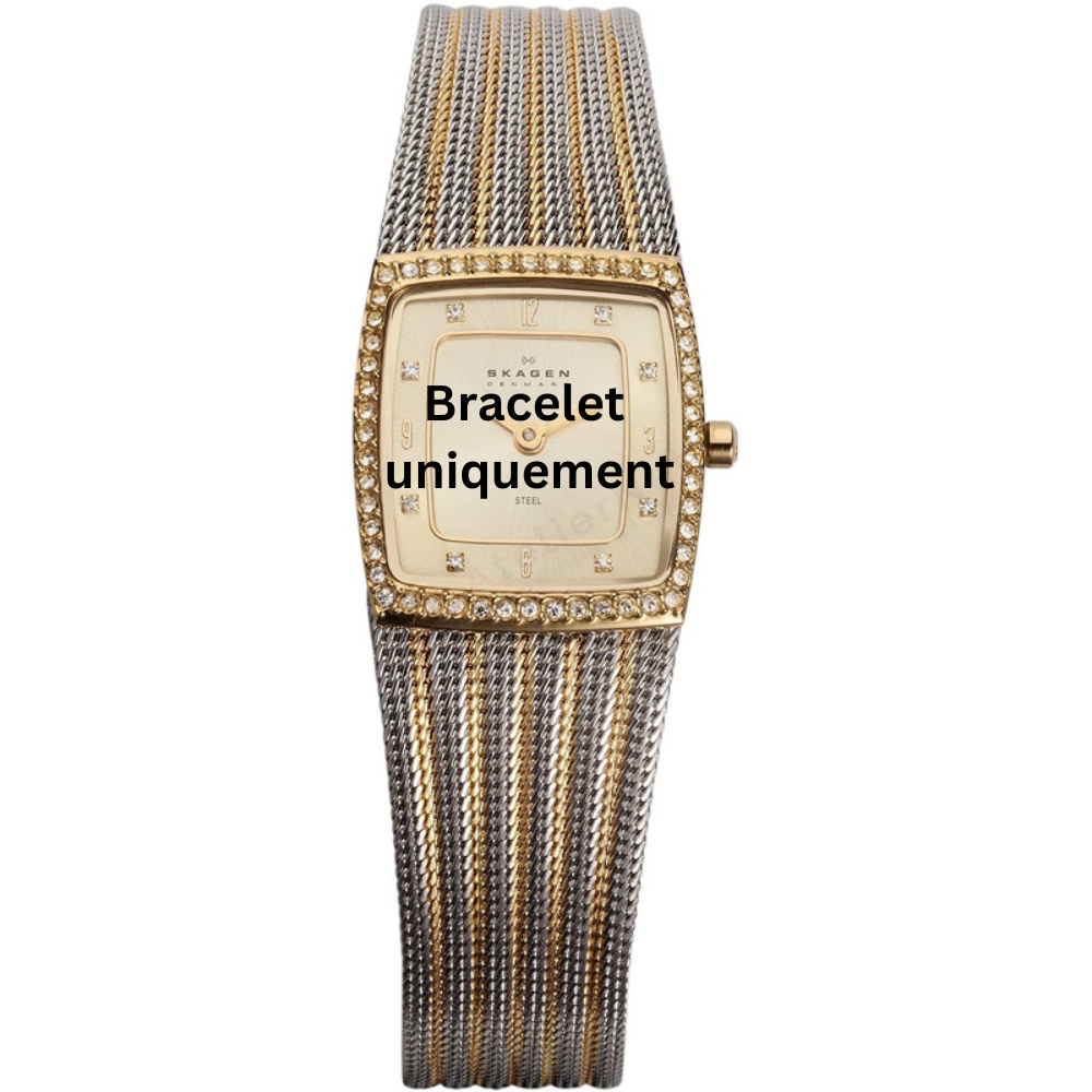 Bracelet metal two-tone Skagen - 384 EXTRA SMALL / 384XSGSG-Bracelets de montres-AtelierNet