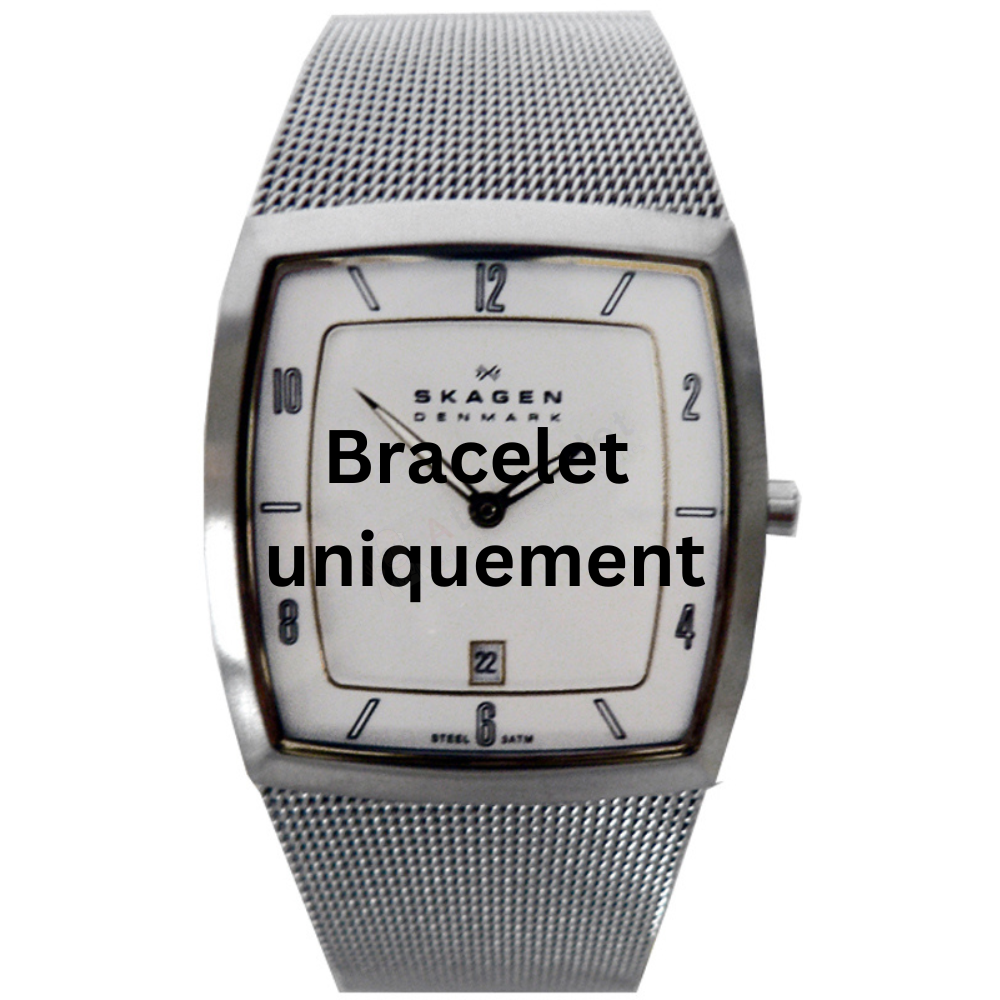 Bracelet métal argent Skagen - 380 LARGE / 380LSGS-Bracelet de montre-AtelierNet