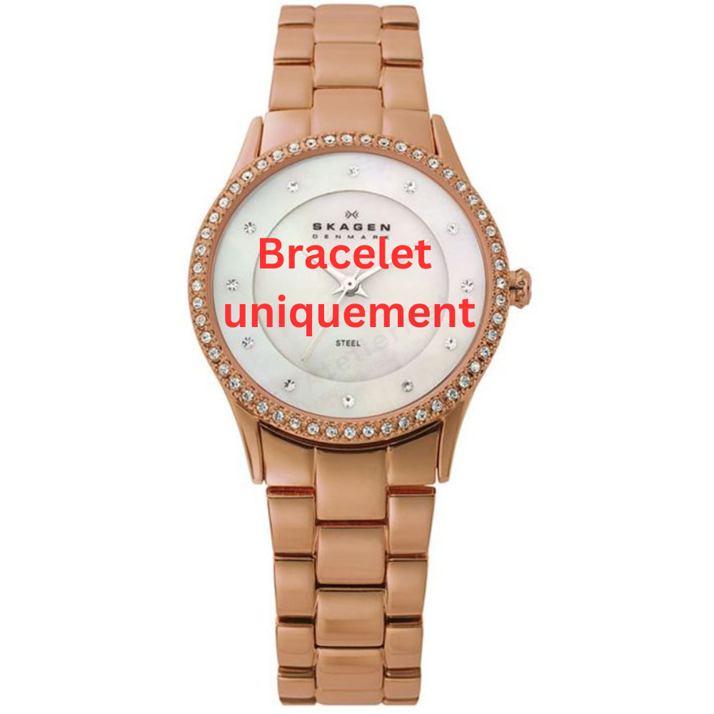 Bracelet metal pink gold Skagen - 347 KATJA SMALL / 347SRXR-Bracelets de montres-AtelierNet