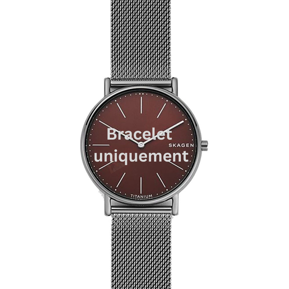 Bracelet metal grey Skagen - SIGNATUR LARGE / SKW6485 - SKW6743-Bracelets de montres-AtelierNet