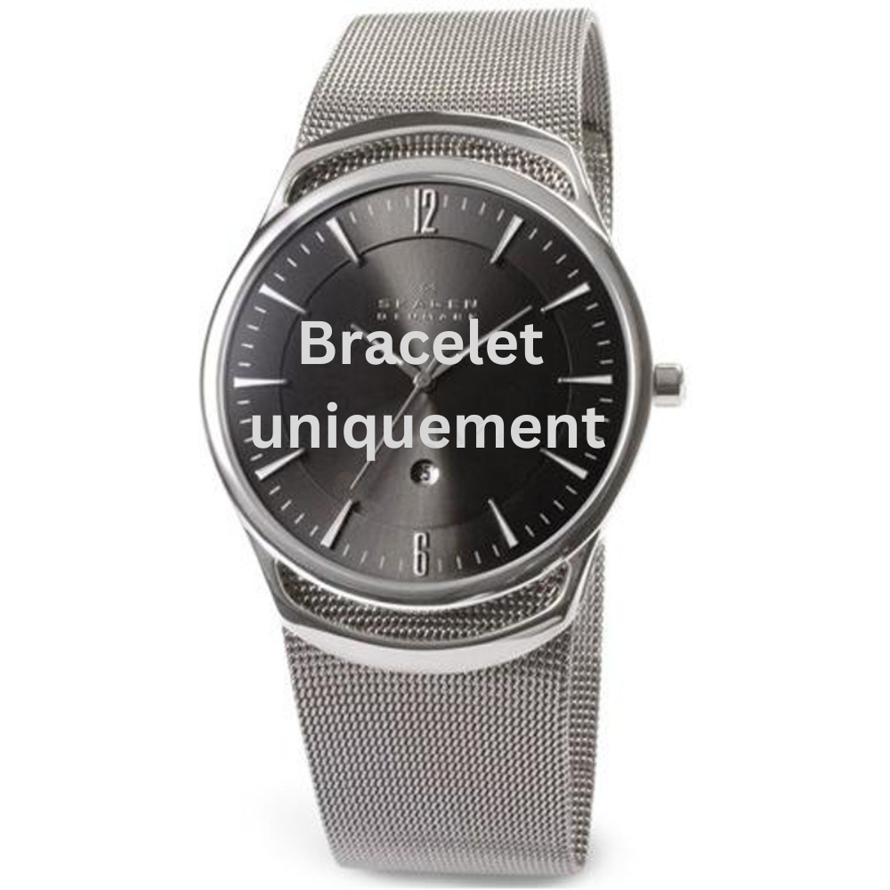 Bracelet métal argent Skagen - 597 LARGE / 597LSSM - 597LGSC-Bracelet de montre-AtelierNet