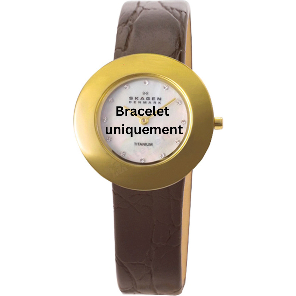 Bracelet cuir marron Skagen - 569 SMALL / 569STGLD4-Bracelet de montre-AtelierNet