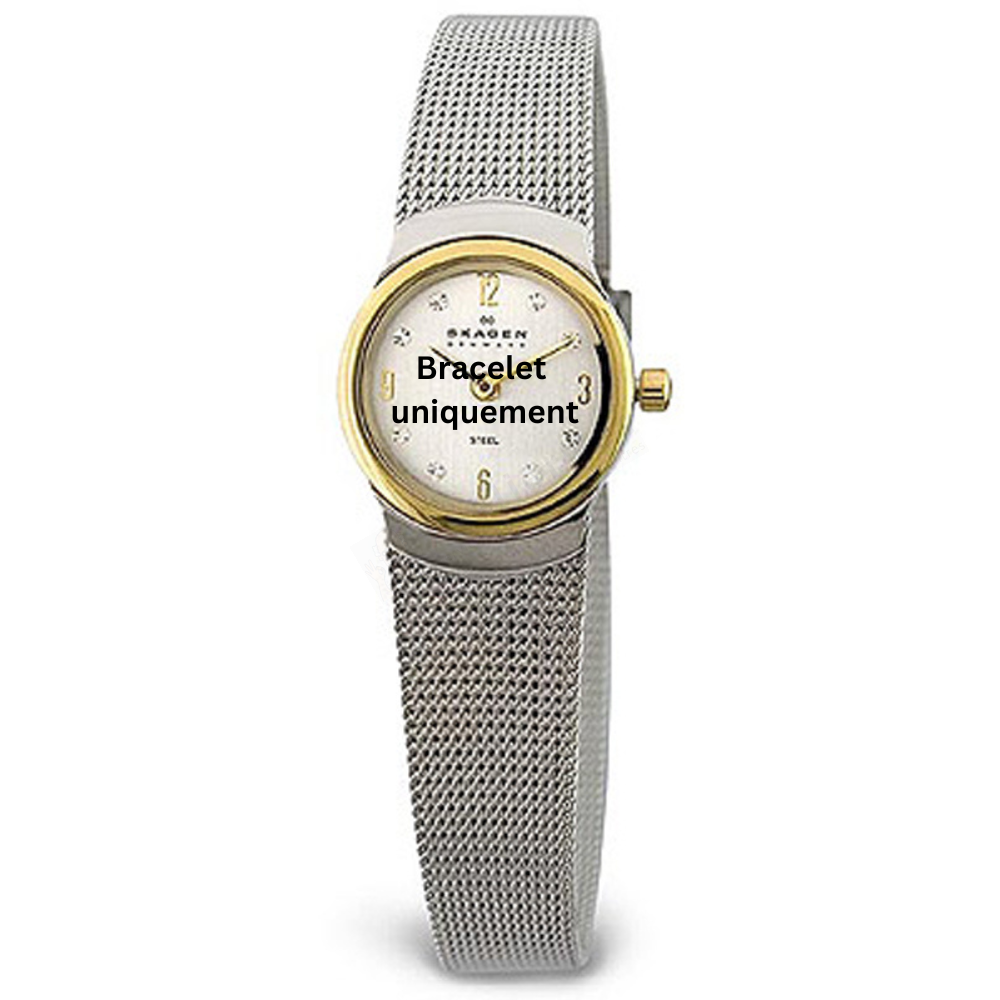 Bracelet métal argent Skagen - 502 XSMALL / 502XSGS - 502XSSMP-Bracelet de montre-AtelierNet