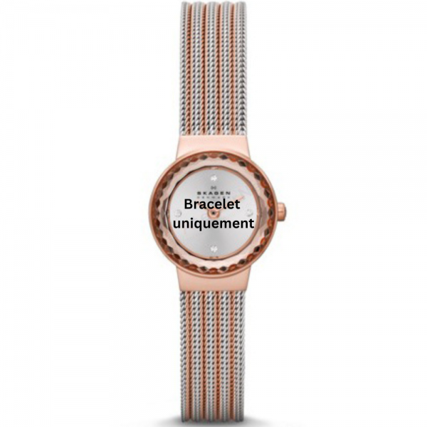 Bracelet metal two-tone pink Skagen - LEONORA XSMALL / SKW2246-Bracelets de montres-AtelierNet