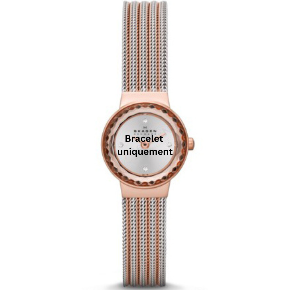 Bracelet métal bicolor rose Skagen - LEONORA XSMALL / SKW2246-Bracelet de montre-AtelierNet