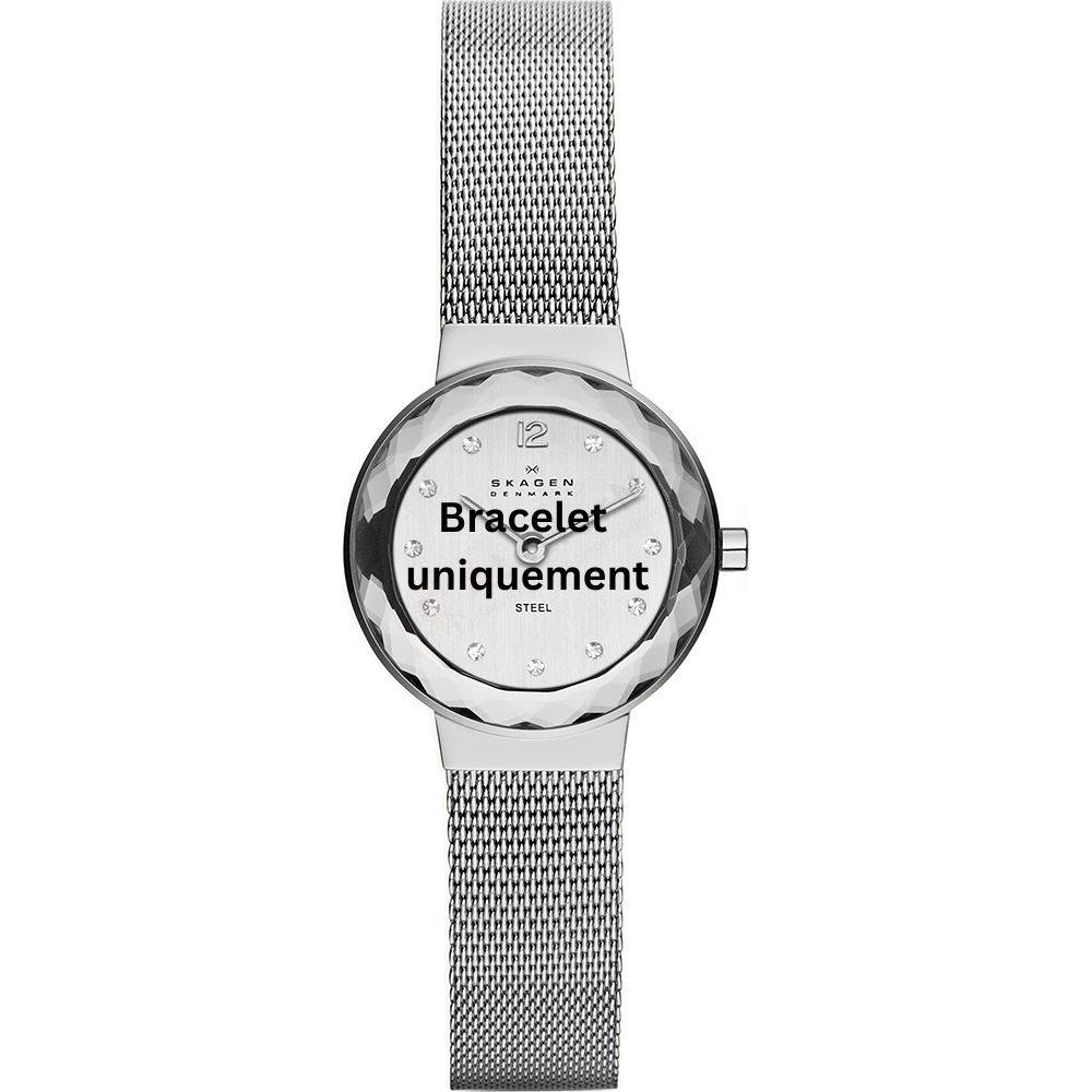 Bracelet métal argent Skagen - 456 LEONORA SMALL / 456SSS - 456SGSS - SKW2767 - SKW1112-Bracelet de montre-AtelierNet