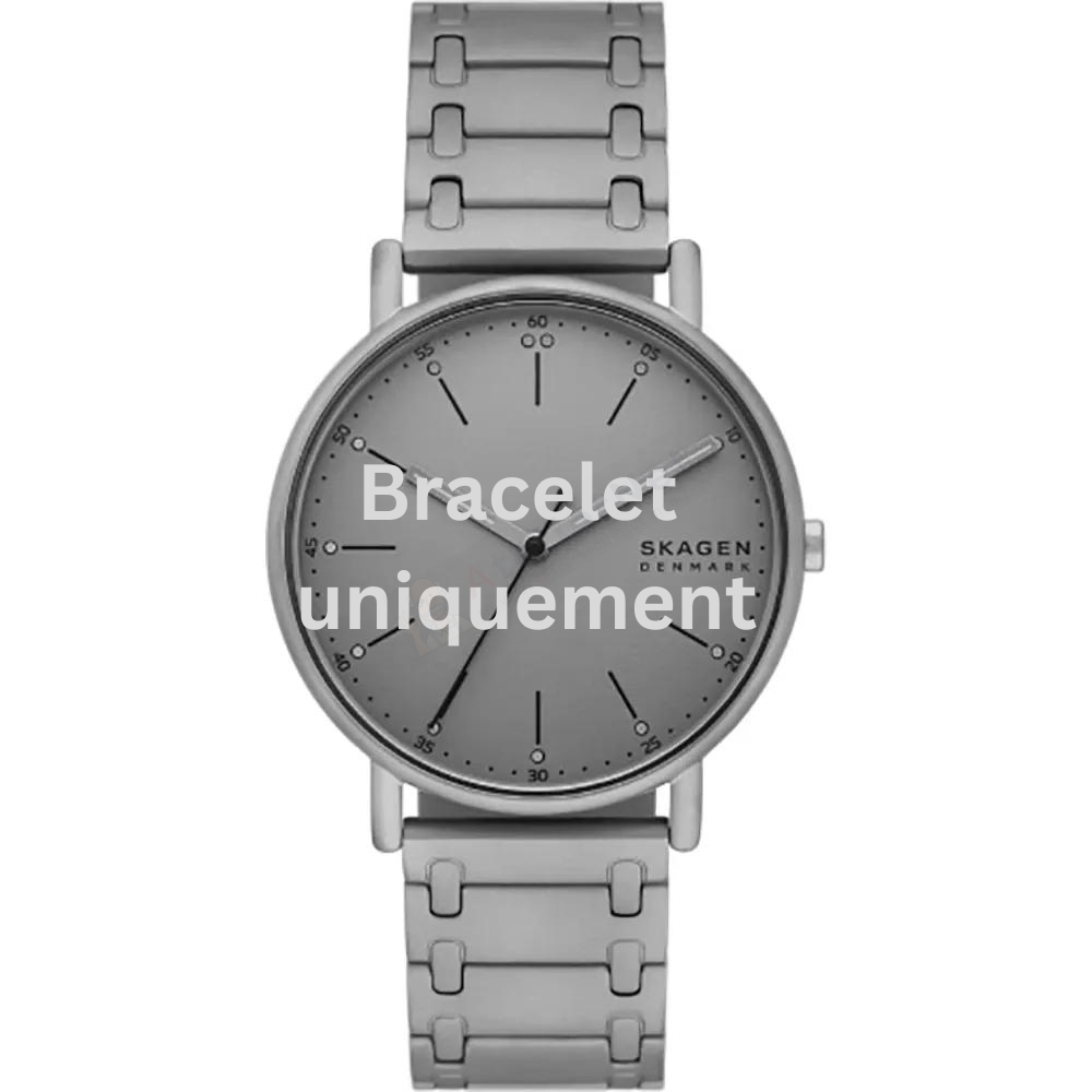 Bracelet metal grey Skagen - SIGNATUR LARGE / SKW6913-Bracelets de montres-AtelierNet