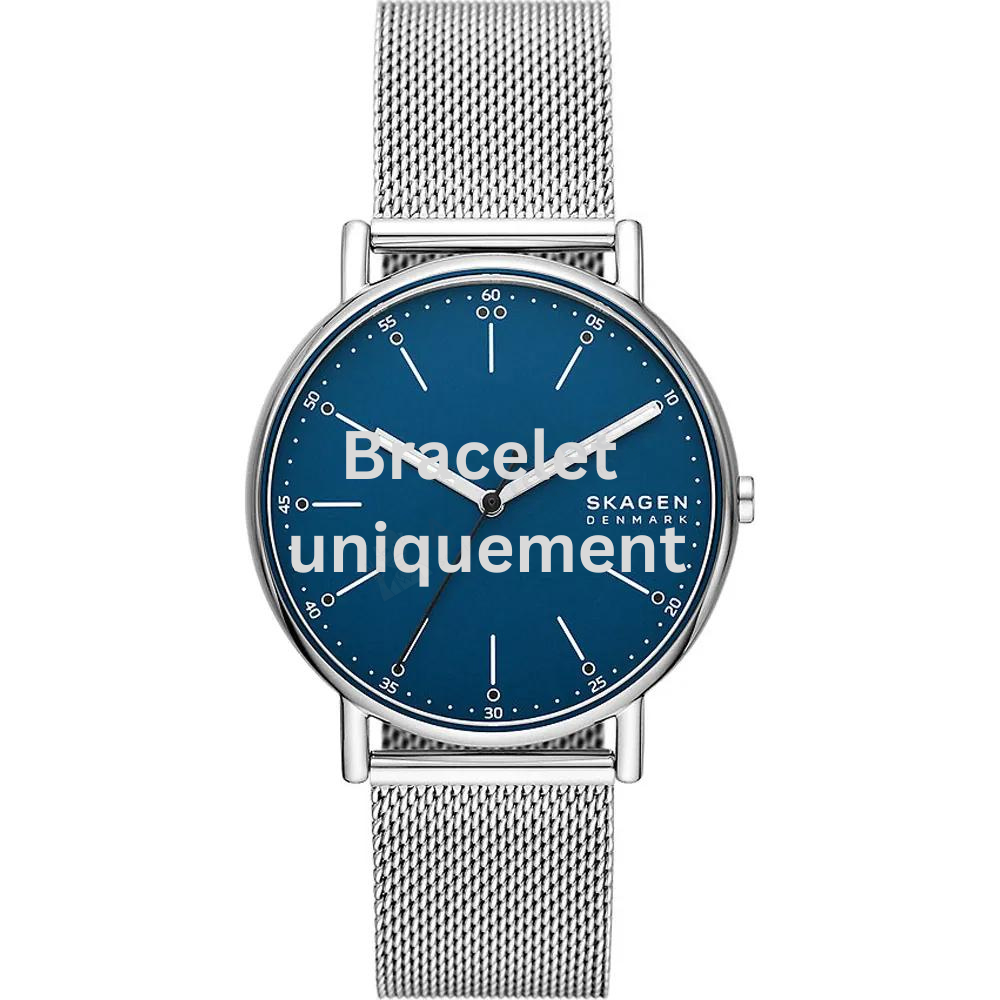 Bracelet métal argent Skagen - SIGNATUR / SKW6904-Bracelet de montre-AtelierNet