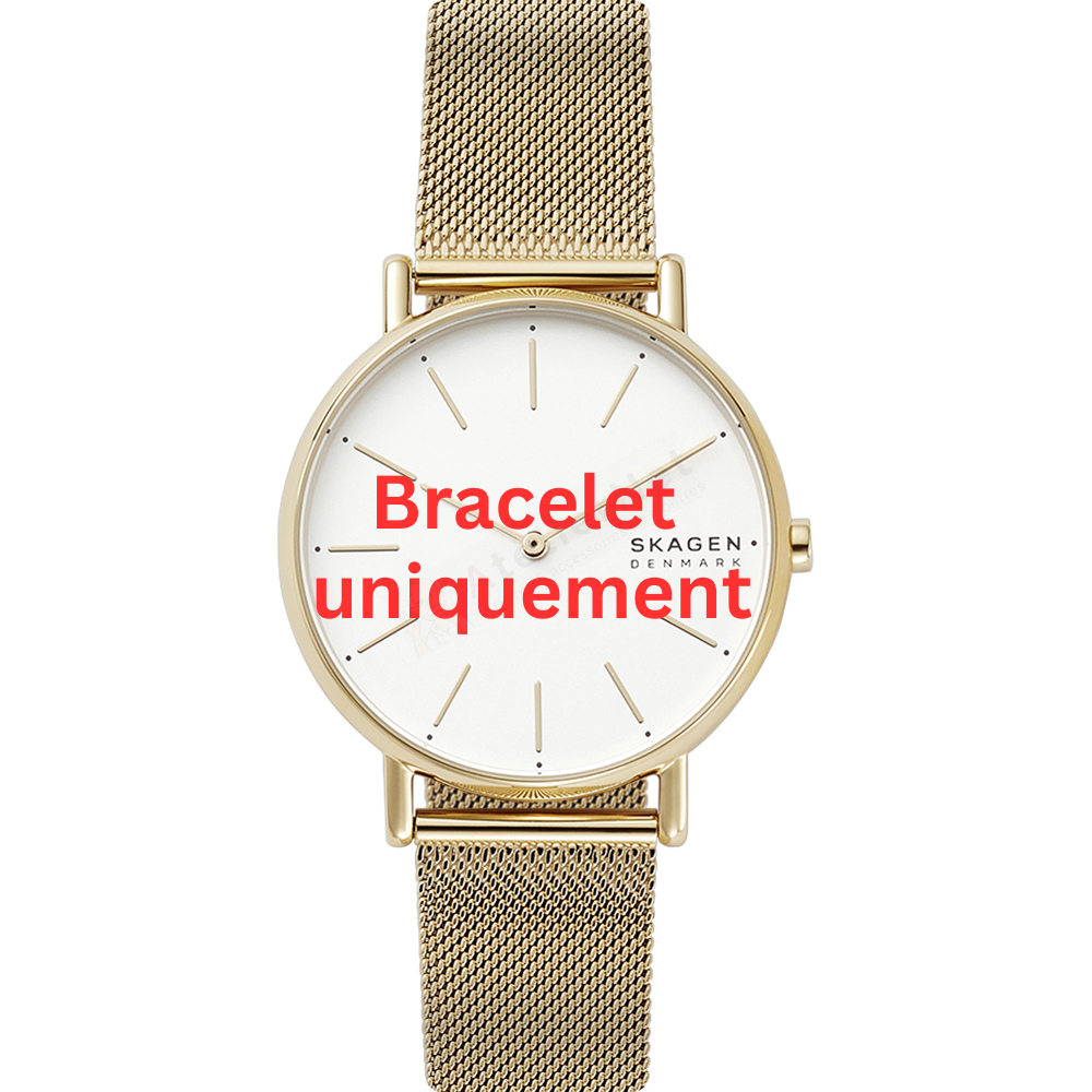 Bracelet metal gold Skagen - SIGNATUR / SKW2795-Bracelets de montres-AtelierNet