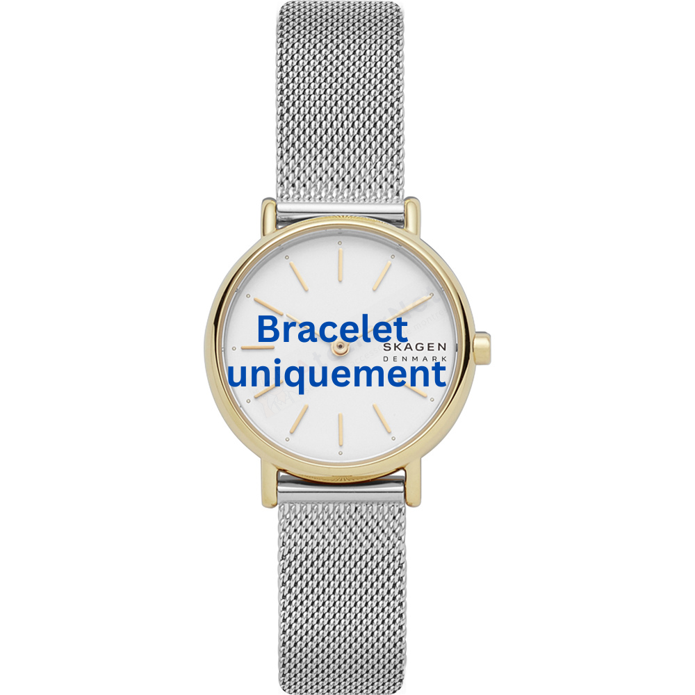 Bracelet métal argent Skagen - SIGNATUR / SKW2910 - SKW2997-Bracelet de montre-AtelierNet