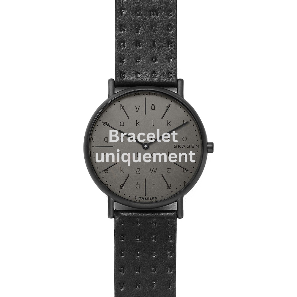 Bracelet cuir noir Skagen - SIGNATUR / SKW6490-Bracelet de montre-AtelierNet