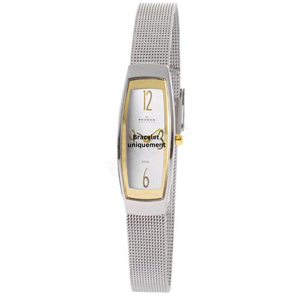 Bracelet métal argent Skagen - 522 SMALL / 522SGSC - 522SSSB-Bracelet de montre-AtelierNet