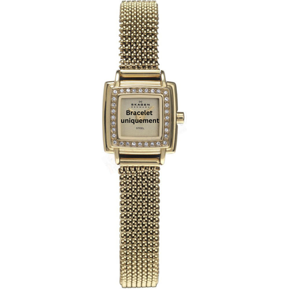 Bracelet metal gold Skagen - 821 XSMALL / 821XSGG1 - 821XSGG-Bracelets de montres-AtelierNet