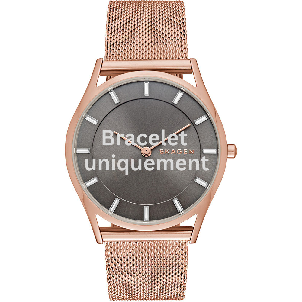 Bracelet métal or rose Skagen - HOLST MEDIUM / SKW2378-Bracelet de montre-AtelierNet