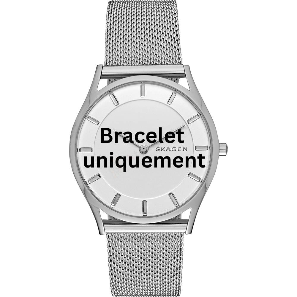 Bracelet metal silver Skagen - HOLST MEDIUM / SKW2342-Bracelets de montres-AtelierNet