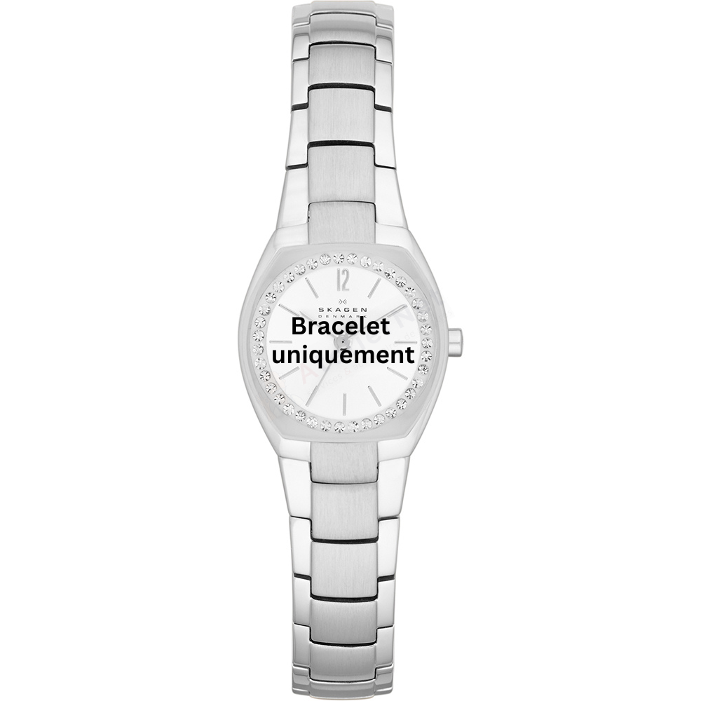 Bracelet métal argent Skagen - ASTA MINI / SKW2110-Bracelet de montre-AtelierNet