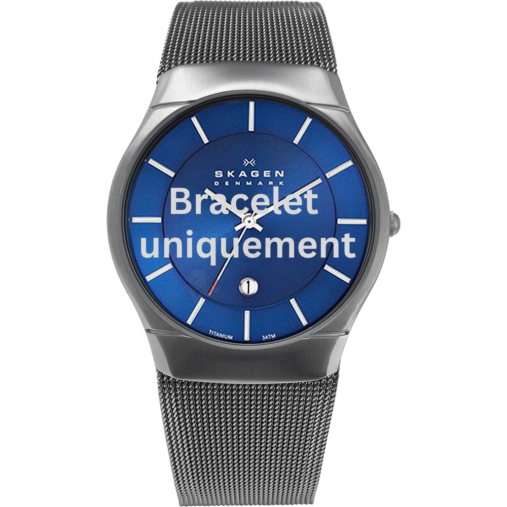 Bracelet titanium silver Skagen - MATTHIES / 956XLTTN - SKW6140-Bracelets de montres-AtelierNet