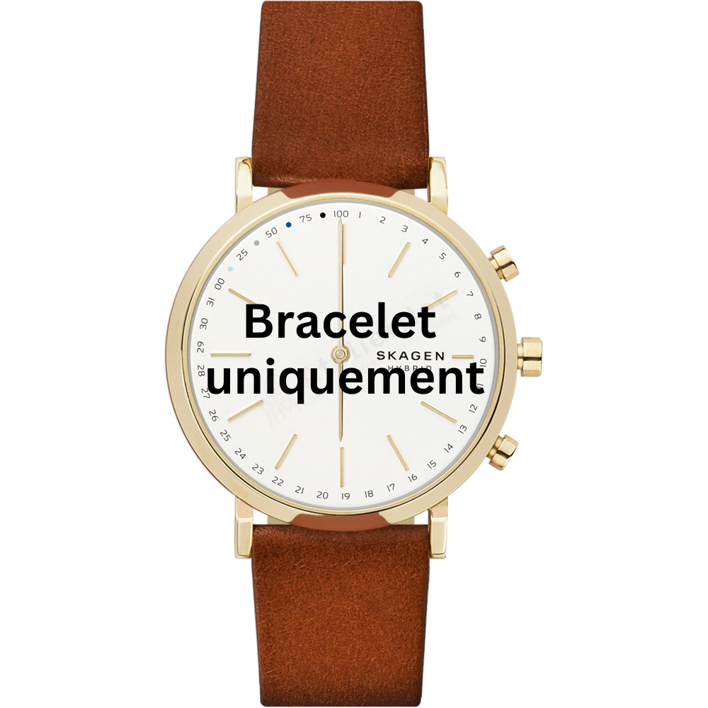 Bracelet leather brown Skagen - HALD / SKT1206-Bracelets de montres-AtelierNet