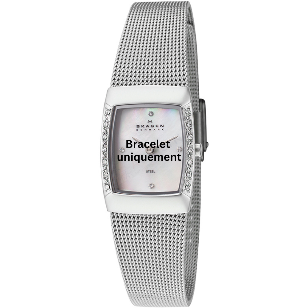 Bracelet métal argent Skagen - 684 XSMALL / 684XSSS - 684XSSBPL-Bracelet de montre-AtelierNet