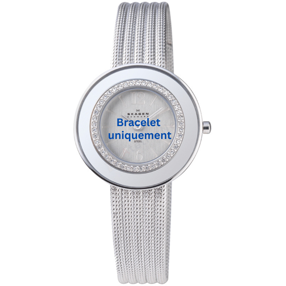 Bracelet métal argent Skagen - 363 SMALL / 363SSS-Bracelet de montre-AtelierNet