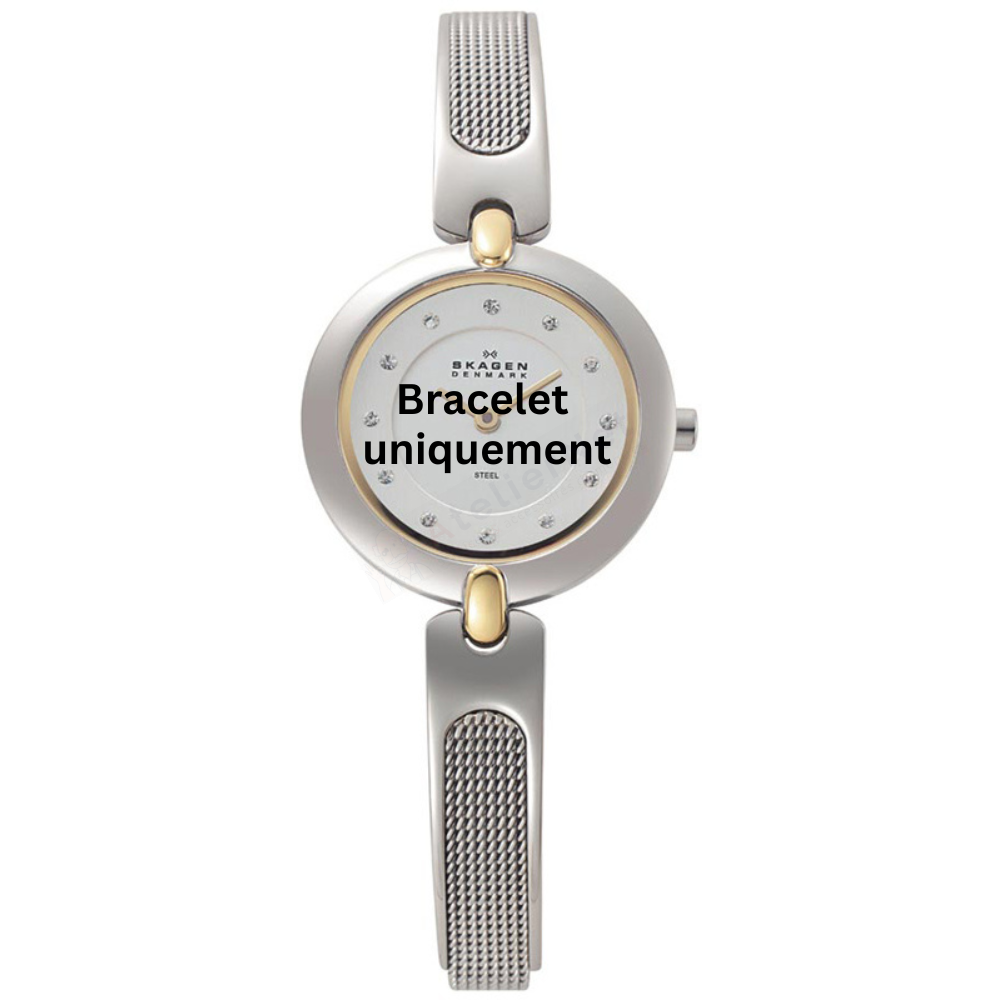 Bracelet métal argent Skagen - 354 SMALL / 354SGSC-Bracelet de montre-AtelierNet