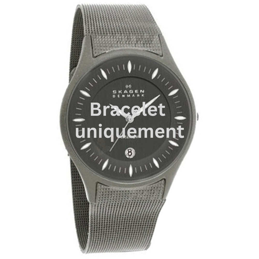 Bracelet titane gris Skagen - 342 XLARGE / 342XLTTM - 342XLTTW-Bracelet de montre-AtelierNet